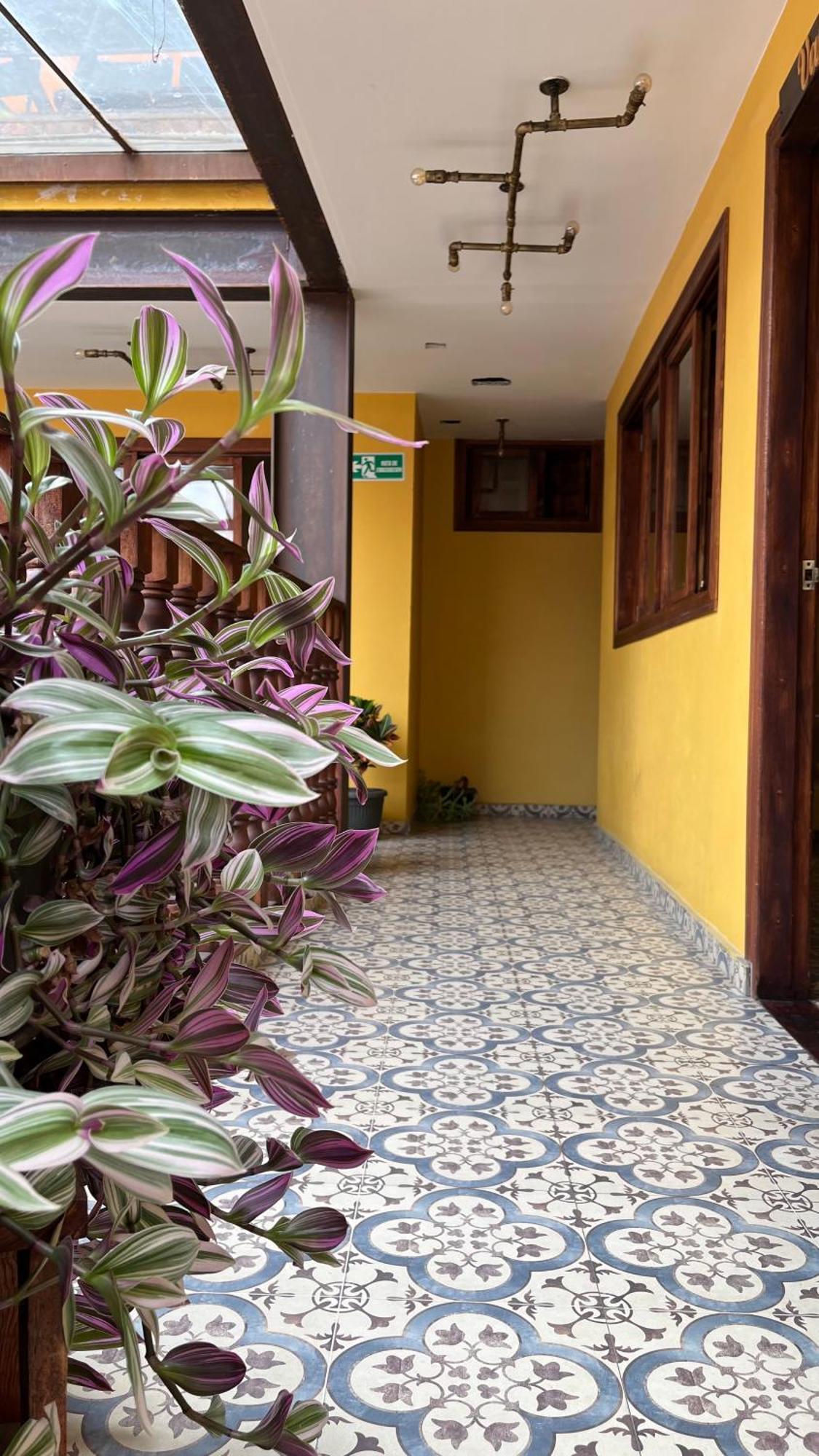 Hostal Casa Astromelia Bogotá Exterior foto